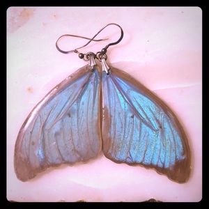REAL butterfly wing earrings